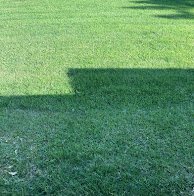 Green & Clean Lawn Care